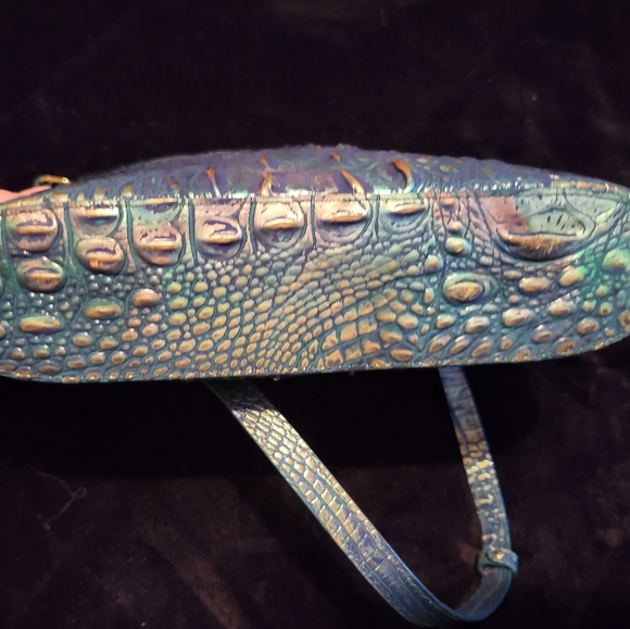 Brahmin dragon crossbody - Picture 2 of 8